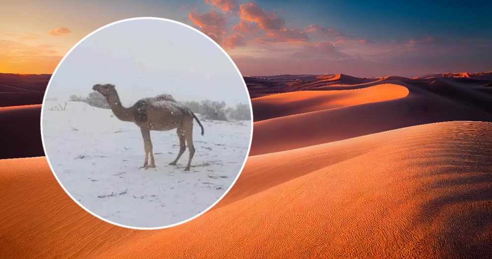 Na Saharze spadł śnieg /MeteoNews24/Facebook /123RF/PICSEL