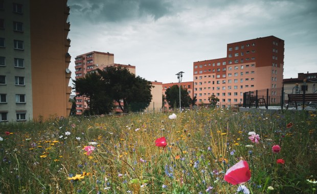 Na Śląsku powstały "hotele" dla owadów 