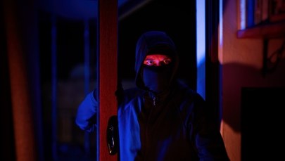 Na Śląsku skradziono 2 mln zł. Kryminalni szukają sprawców