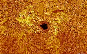 Na Słońcu pojawiła się ogromna plama w kształcie serca