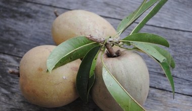 На смак як карамель, стимулює роботу кишківника та розгладжує шкіру