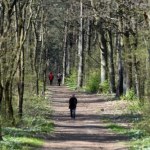 Na spacer i na grzyby. Ta puszcza jest blisko Krakowa