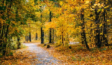 Na spacer i na wycieczkę rowerową. To miejsce jesienią zachwyca