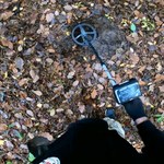 Na spacer tylko z wykrywaczem metalu. Detektoryści kochają naturę