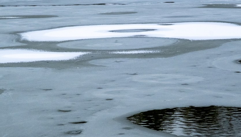 Na stawie załamał się lód. Nowe fakty ws. rodzinnej tragedii pod Poznaniem