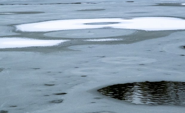 Na stawie załamał się lód. Nowe fakty ws. rodzinnej tragedii pod Poznaniem