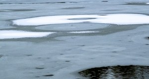 Na stawie załamał się lód. Nowe fakty ws. rodzinnej tragedii pod Poznaniem