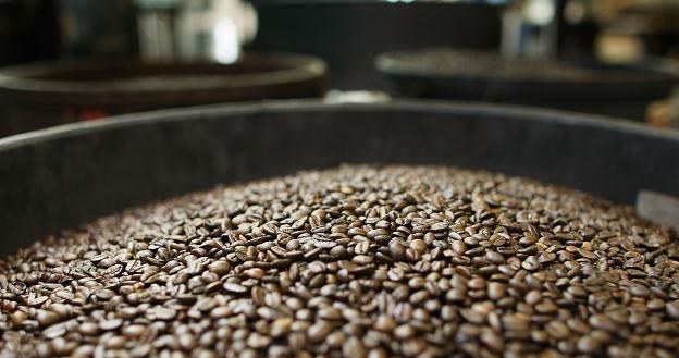 Na świecie jest ponad 40 gatunków kawy, a handluje się głównie odmianą arabica i robusta /AFP