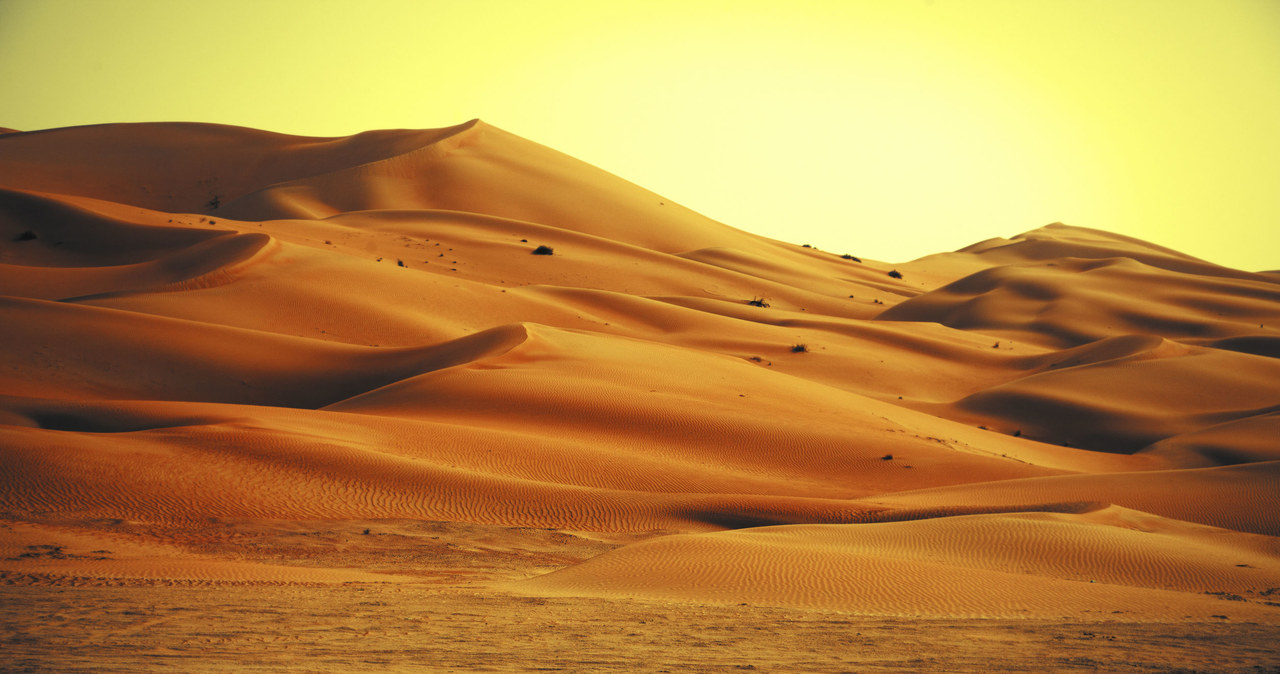 Na świecie może być więcej takich miejsc jak Sahara /123RF/PICSEL