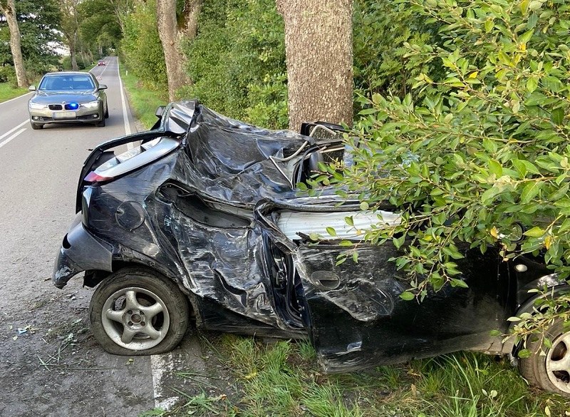 Na szczęście 22-latka jechała sama, a w drzewo uderzyła prawą stroną samochodu /Policja