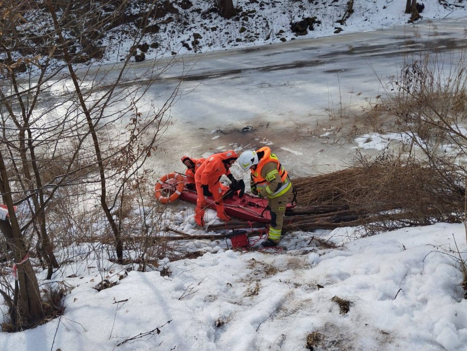 Na szczęście nikomu nic poważnego się nie stało /Komenda Powiatowa Państwowej Straży Pożarnej w Braniewie /