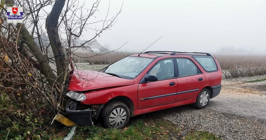 Na szczęście ucierpiał tylko samochód /Informacja prasowa