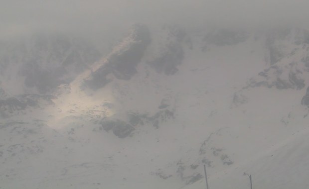 Na szczytach Tatr spadł śnieg. Na polanach kwitną krokusy