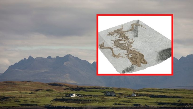 Na Szkockiej wyspie Skye odkryto szkielet jaszczurki /Getty Images/ Richard Baker / Contributor; uw.edu.pl /