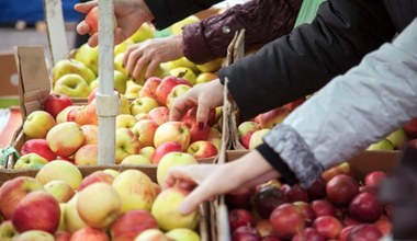 Na targu wybieraj te jabłka. Są smaczne i można je długo przechowywać