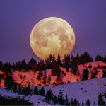 horoskopy Na te 3 znaki zodiaku wpłynie aura Księżyca w nowiu. Czeka ich świetny czas