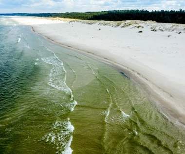 Na tej plaży nie ma tłumów nawet w środku sezonu. Parawaning ci tu nie grozi 
