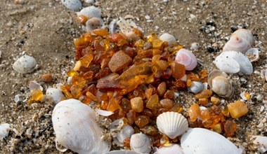 Na tej polskiej plaży znajdziesz najwięcej bursztynów. Turyści wynoszą pełne kieszenie 