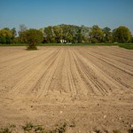 Na terenie Polski susza rolnicza