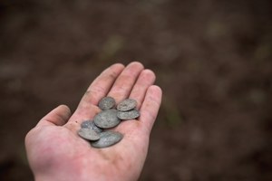 Na terenie Wdeckiego Parku Krajobrazowego odkryto monety z XVIII wieku  