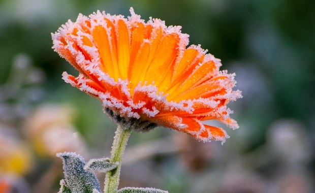 Na termometrach nawet minus 7 st. IMGW ostrzega przed przymrozkami