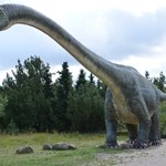 Na tropie polskich dinozaurów - gdzie można spotkać ich ślady?