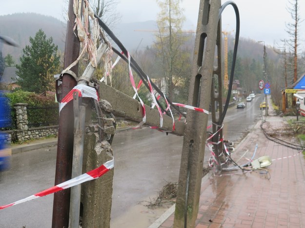 Na ulicy Strążyskiej powalone drzewa uszkodziły linie energetyczne /Maciej Pałahicki /RMF FM