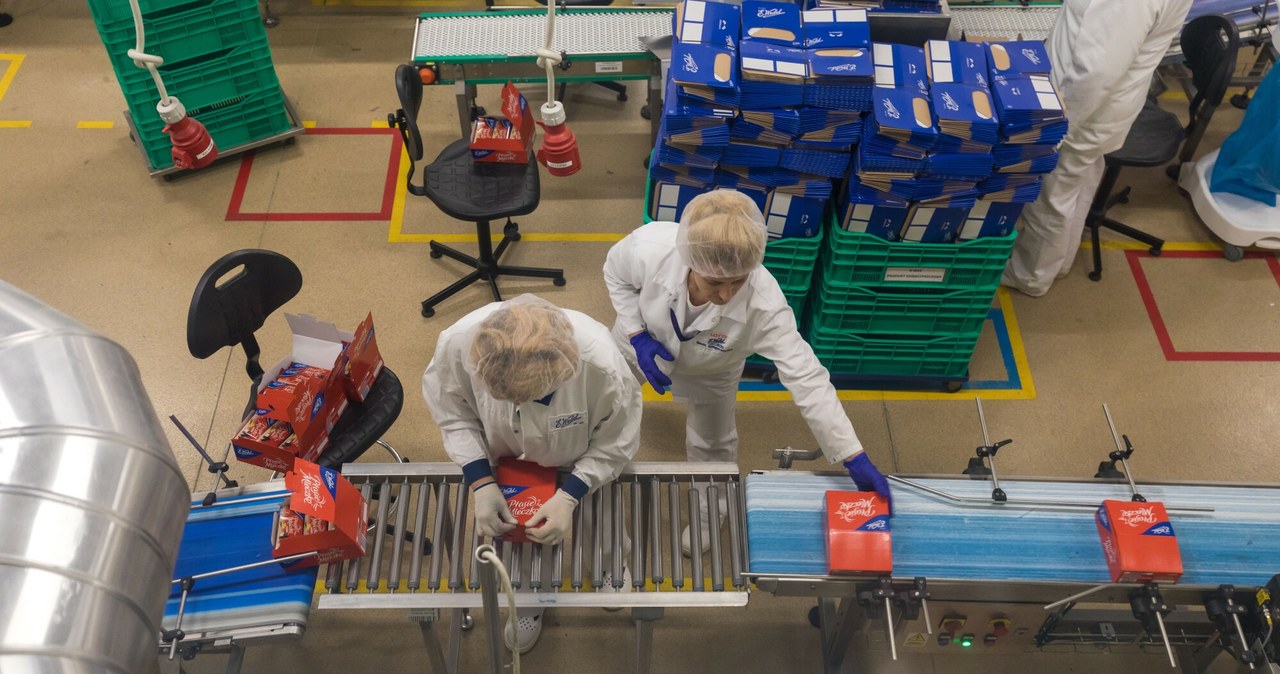 Na warszawskim Kamionku znajdują się linie produkcyjne Wedla /ARKADIUSZ ZIOLEK/East News /