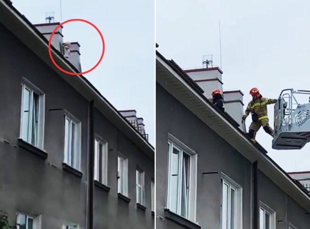 Na warszawskim Ursynowie na dachu jednej z kamienic zauważono 4-letnią dziewczynkę, która zbliżała się do krawędzi budynku. /Policja
