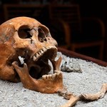 Na Węgrzech odkryto grób rzymskiego lekarza z całym ekwipunkiem 