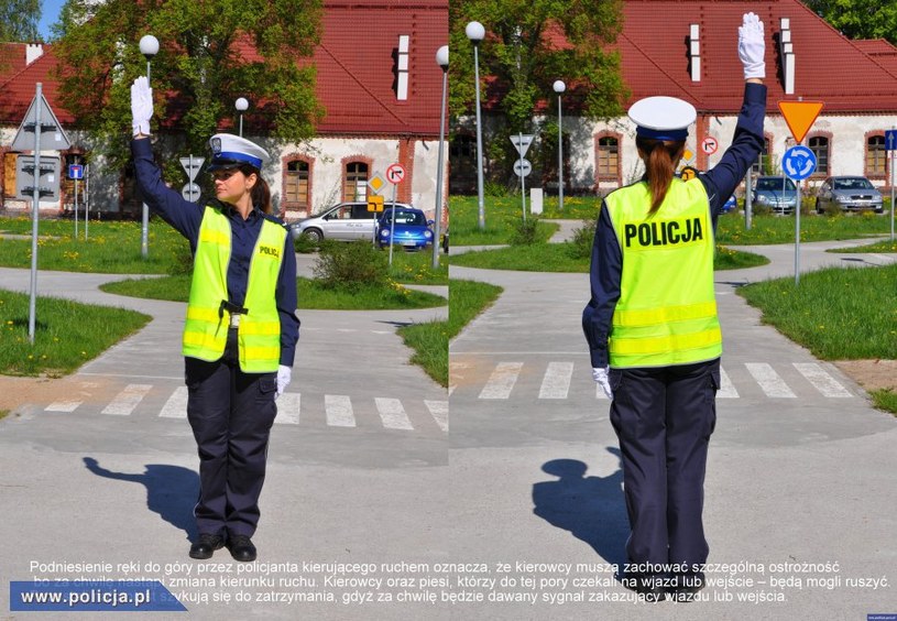 Na widok policjanta kierującego ruchem kierowcy i piesi nie powinni wpadać w panikę. /Informacja prasowa