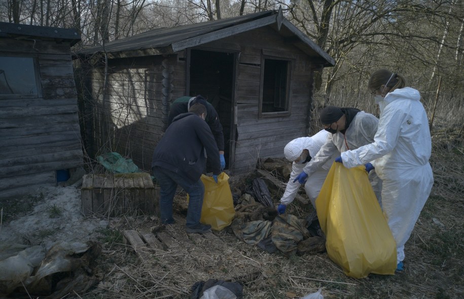 Na wniosek Prokuratury w Kartuzach Inspektorzy OTOZ Animals oraz przedstawiciele inspekcji weterynaryjnej wspólnie z policją na posesji w Starej Hucie odkryli martwe psy /OTOZ Animals /