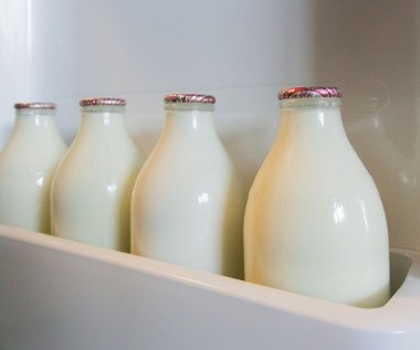 Na wódkę wydajemy trzy razy więcej niż na mleko. Polacy topią miliardy w alkoholu