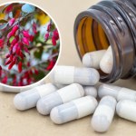 Na wysoki cukier, stany zapalne i problemy żołądkowe. Berberyna to nowy hit wśród suplementów