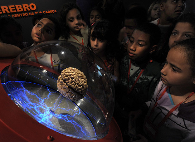 Na wystawie "Mózg: świat wewnątrz twojej głowy" zorganizowanej w brazyliskim Sao Paulo /AFP