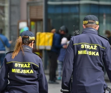 Na zakupach możesz się zdziwić. Kontrole ruszyły w całym kraju