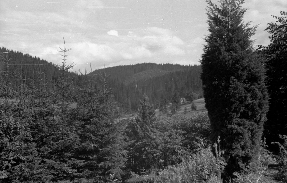 Na zdj. Beskid Żywiecki /CAF /PAP