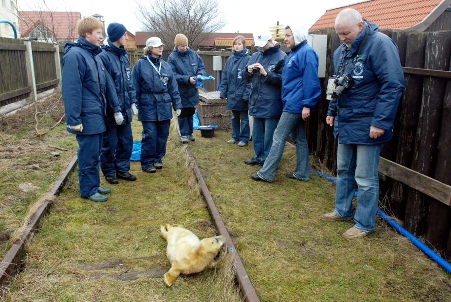 Na zdjęciu archiwalnym z 11.03.2007. dyrektor Stacji Morskiej Instytutu Oceanografii Uniwersytetu Gdańskiego prof. Krzysztof Skóra (P) wśród swoich współpracowników /PAP/Barbara Ostrowska /PAP