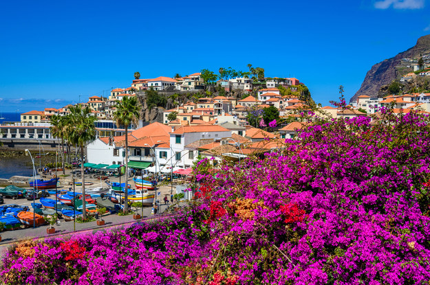 Na zdjęciu Camara de Lobos na Maderze - popularnym kierunku wypoczynkowym Polaków /shutterstock /