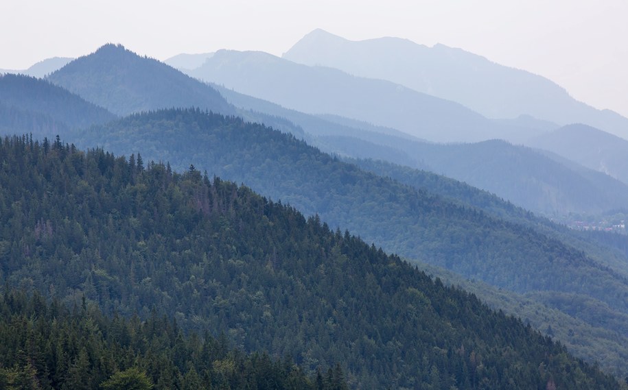 Na zdjęciu: Tatry Zachodnie /Paweł Kula /PAP