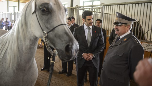 Na zdjęciu z sierpnia 2014 roku wnuk króla Bahrajnu, książę Isa bin Salman Al-Khalifa w towarzystwie ówczesnego prezesa stadniny koni w Janowie Podlaskim Marka Treli /Wojciech Pacewicz /PAP