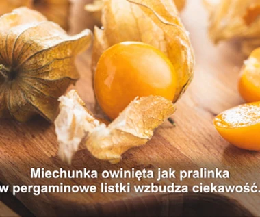 "Na zdrowie": Miechunka, mały wielki owoc!