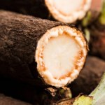 skorzonera Na zewnątrz wygląda nieciekawie, w środku kryje miąższ o posmaku orzecha i szparagów. Zastąp nią ziemniaki