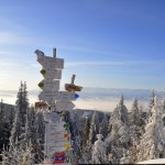 Na zimowy spacer i na biegówki. Ten szlak zimą nie ma sobie równych 