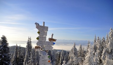 Na zimowy spacer i na biegówki. Ten szlak zimą nie ma sobie równych 