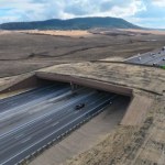 Nad autostradą rozciągnęli ogromny dach. To wielka pomoc dla przyrody