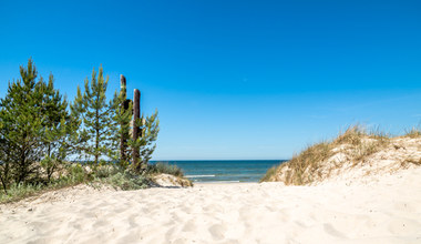 Nad Bałtykiem są jeszcze dzikie plaże. Tu wypoczniesz z dala od tłumu