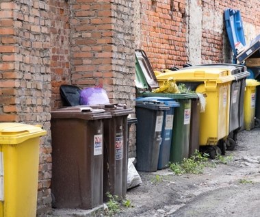 Nad mieszkańcami wisi widmo zapłaty ogromnej kary. Chodzi o pojemniki na śmieci