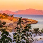 Nad Morze Czerwone bez plastiku. Egipt wprowadza wysokie kary i ograniczenia