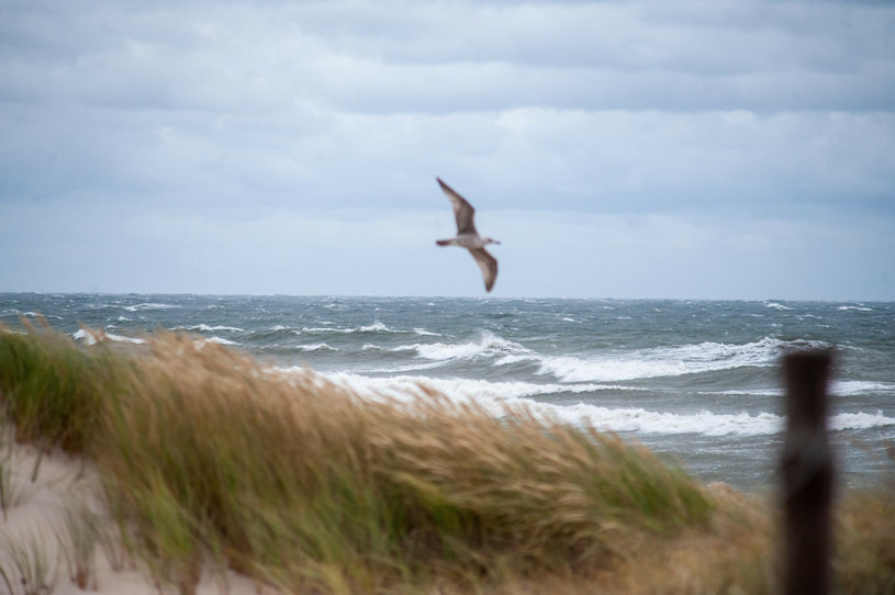Nad morzem będzie mocno wiało /HUBERT BIERNDGARSKI/ /Reporter